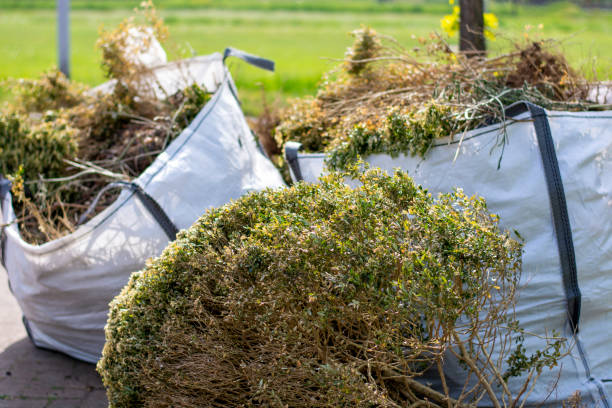 Best Yard Waste Removal  in Seth Ward, TX